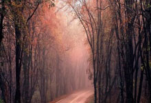 怎么查询股票配资平台合法:手机app股票软件下载-环球下周看点：8月非农数据来袭 美联储理事库克去留牵动市场